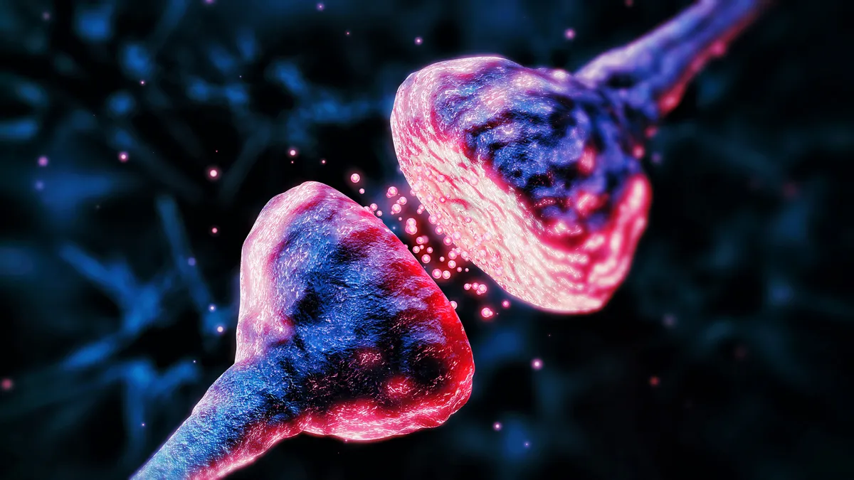 An illustration of two neurons, colored blue and purple
