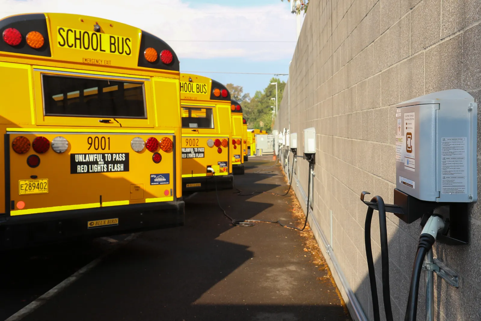 The rear of a row of yellow electric school buses are parked near a building. Charging stations are attached to the building.