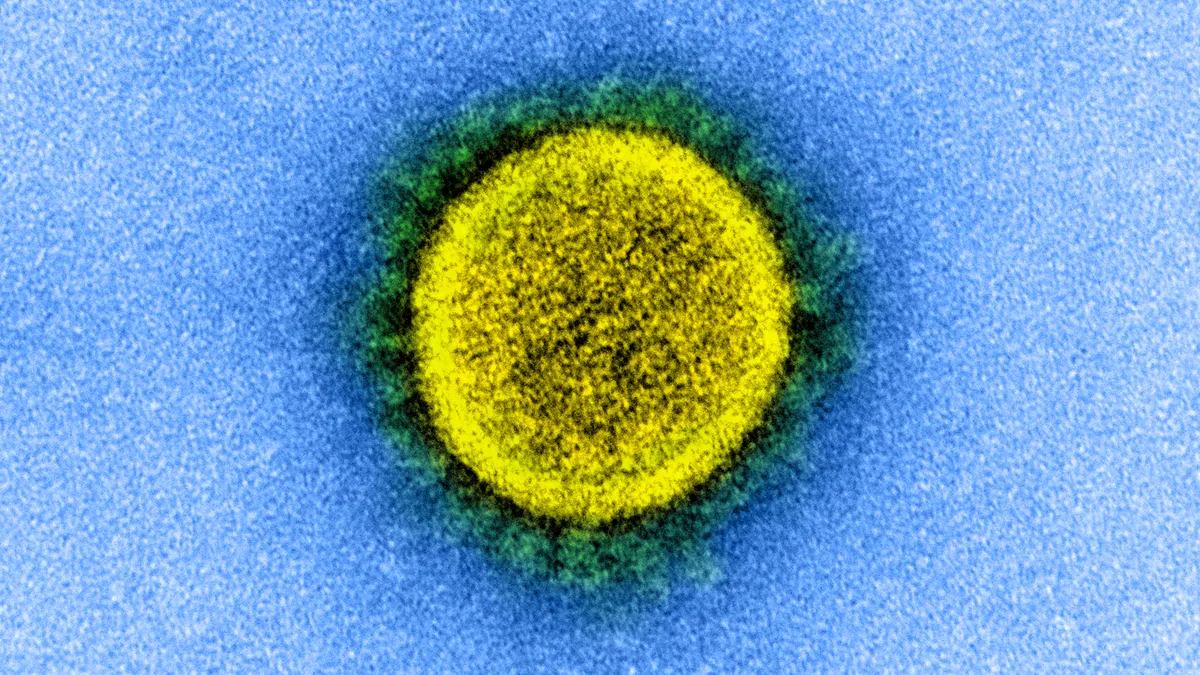 Transmission electron micrograph of a SARS-CoV-2 virus particle, isolated from a patient.