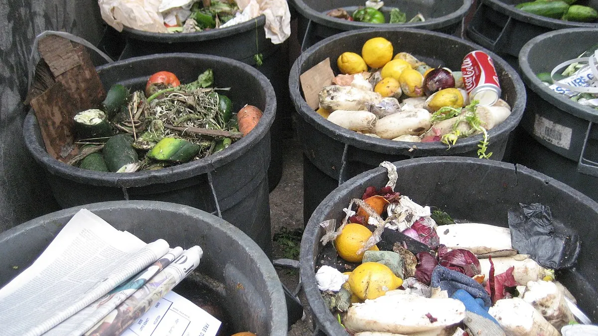 Several trash cans filled with food and organic waste lined up