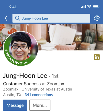 LinkedIn Open to Work