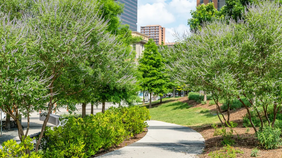 A footpath lined with trees and bushes with tall buildings in the background.