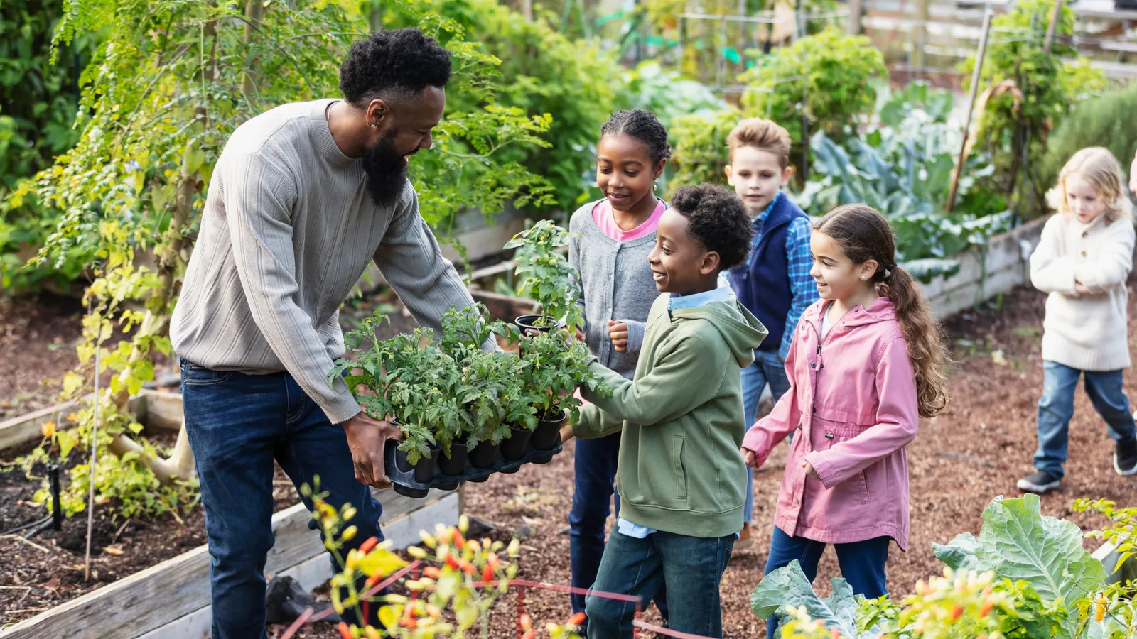 What you need to know about microschools