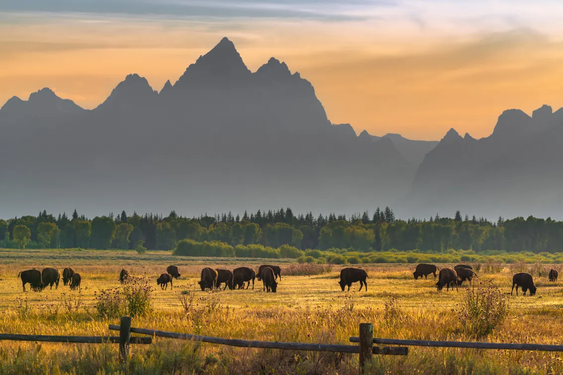 Wyoming has big plans for stablecoin