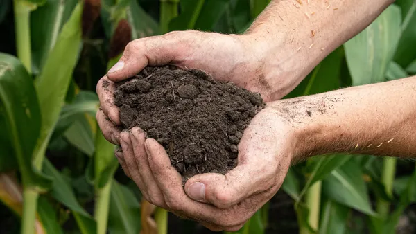 hands are seen cupping soil