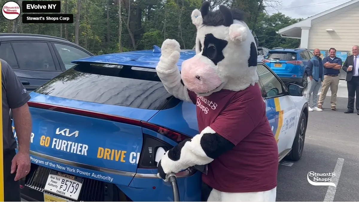 A screenshot from a video showing the Stewart's Shops cow mascot charging an electric vehicle.