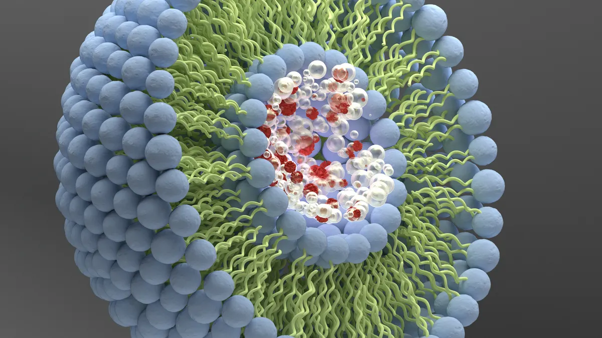 Structure of liposome, phospholipid, micelle, 3d render