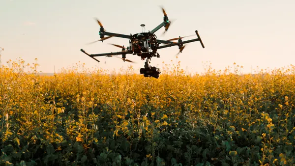 A drone with a mounted camera flies low above plants in a field at sunset.