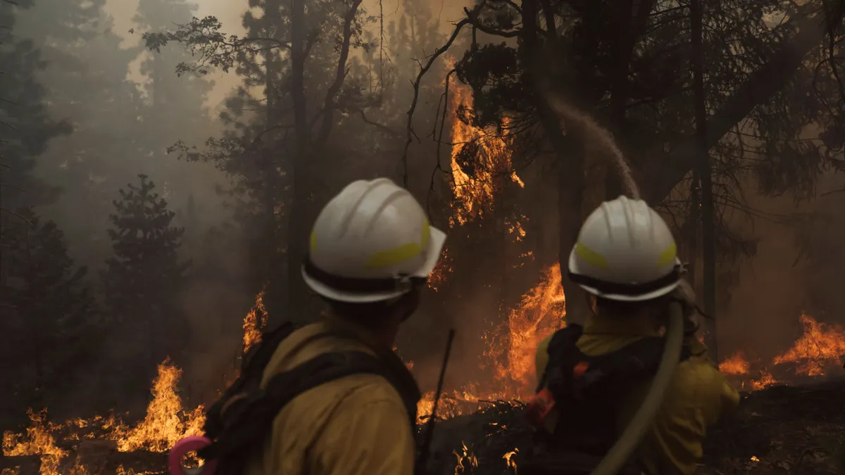 Firefighters battle a forest fire
