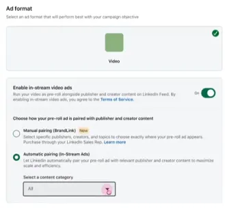 LinkedIn In-stream video ads