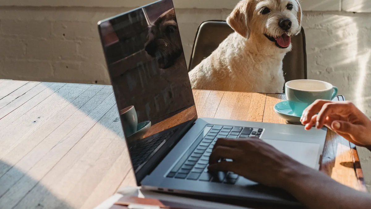 A dog is next to a laptop