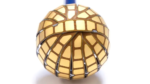 Kardium's Globe mapping and ablation catheter for pulsed field ablation is shown.
