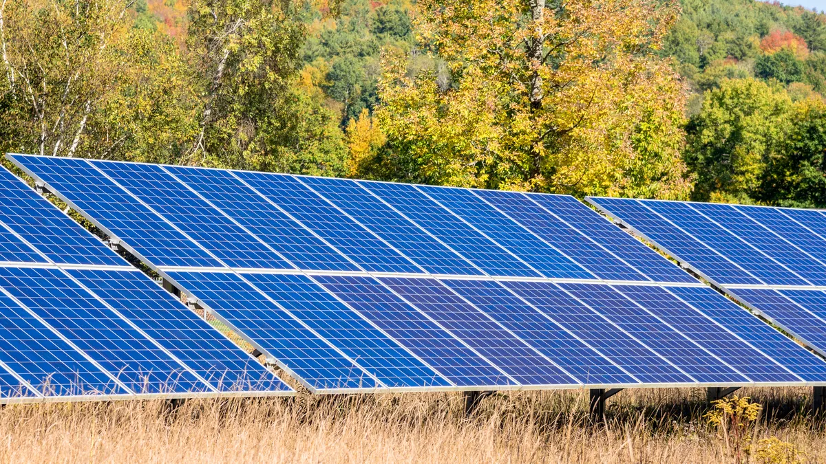 Solar panels in a field surrounded by colourful trees at the peak of autumn foliage