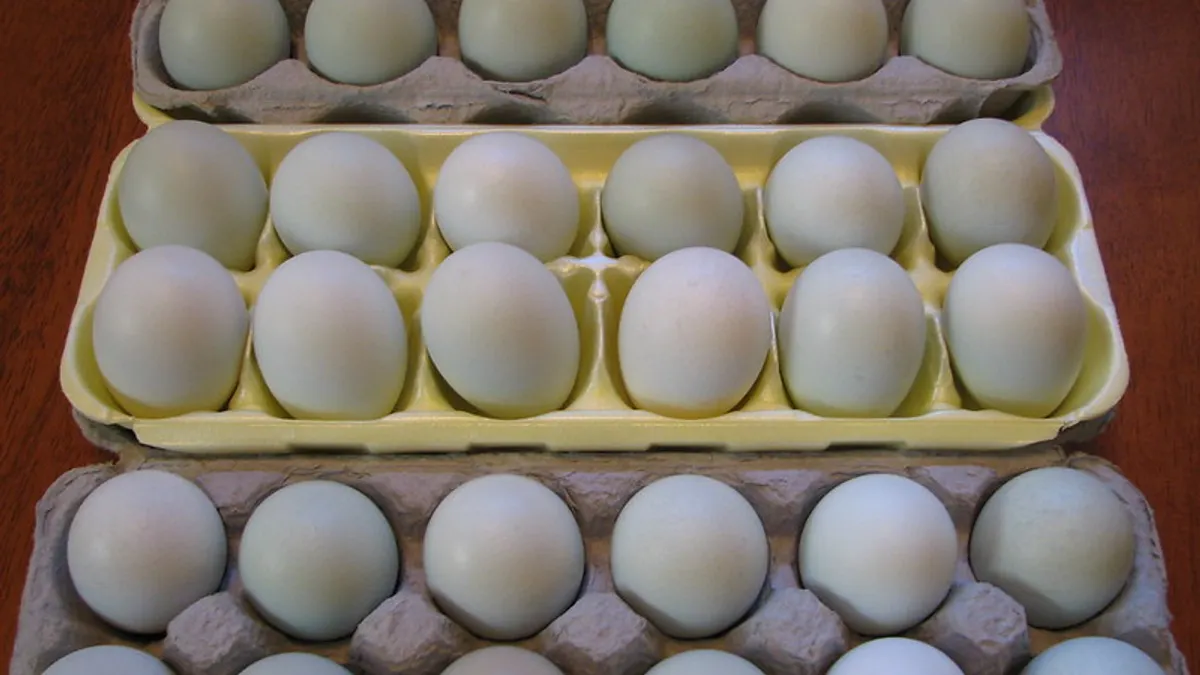 white eggs in cartons
