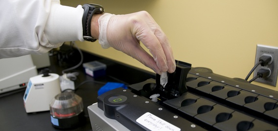 food safety inspection