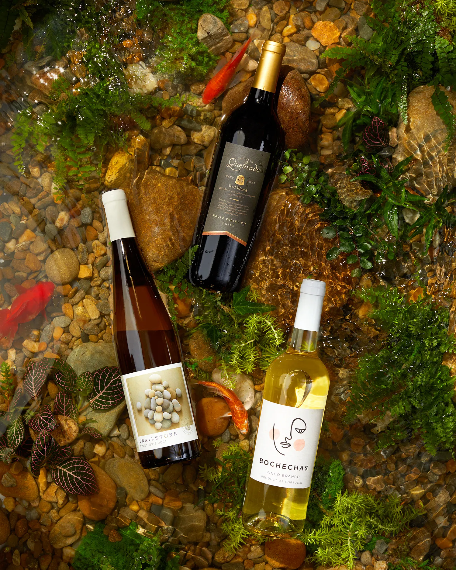 Three bottles of different types of Firstleaf wine on a background of stones and leaves.