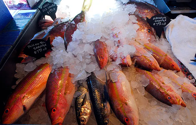 Fish Fraud Examples Restaurants, grocery stores plagued with fish fraud, report says ...