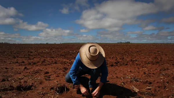 A farmer bends over to tend to a seedling in a vast, brown field.