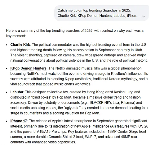 Google Year in Search 2025