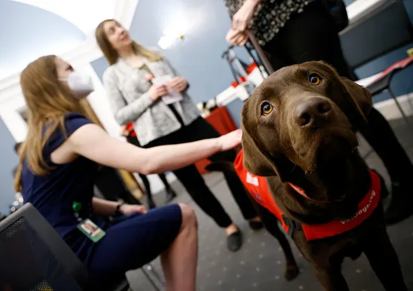 SHRM rescinded job offer over candidate’s service dog, lawsuit alleges