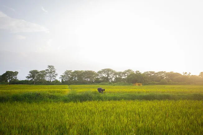 Carbon project developer Varaha nabs $30M to scale regenerative agriculture