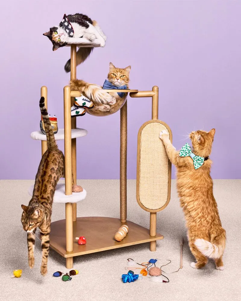 Cats play on a cat tree that is part of Target&#x27;s The Cuddle Collab collection.