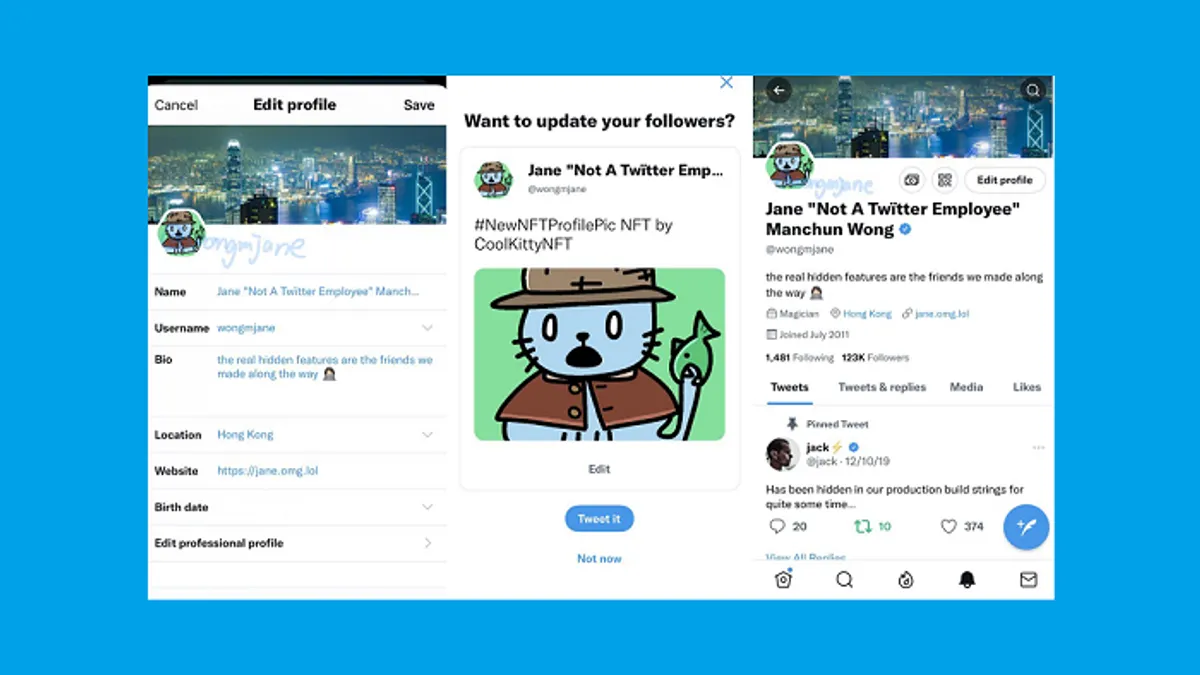 Twitter NFT profile