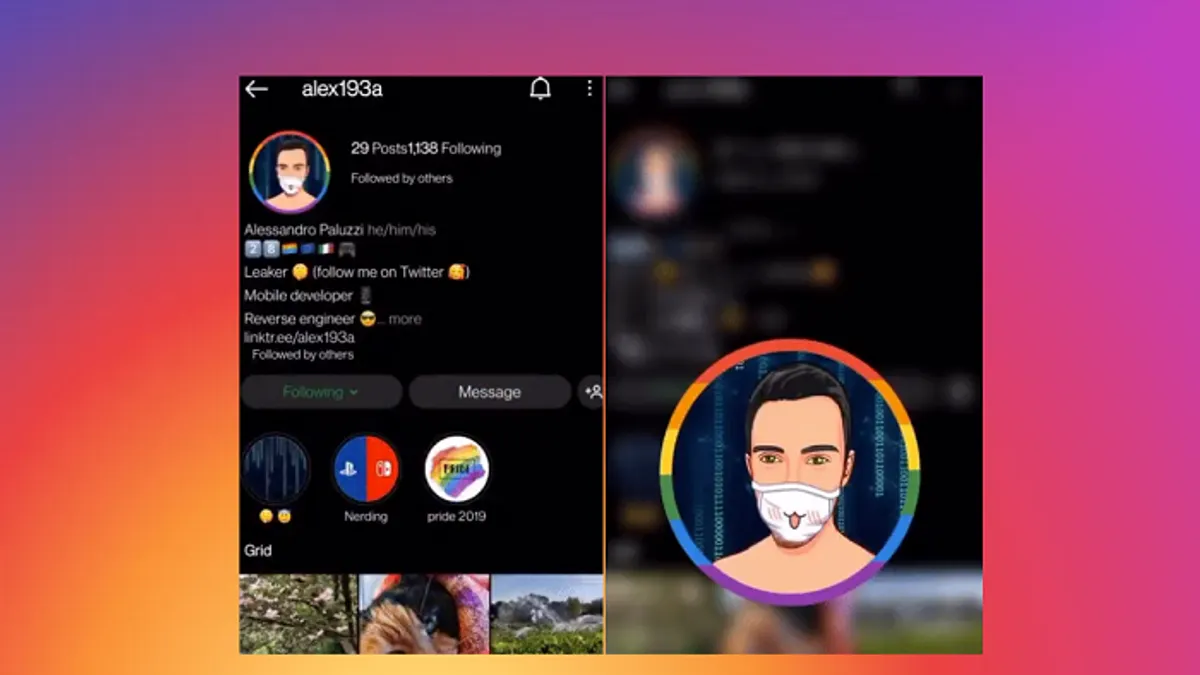 Instagram Profile Preview