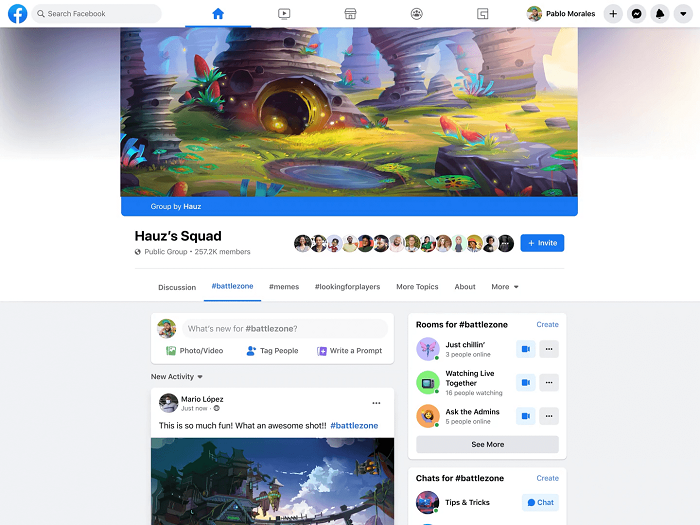 Facebook Gaming Fan Groups