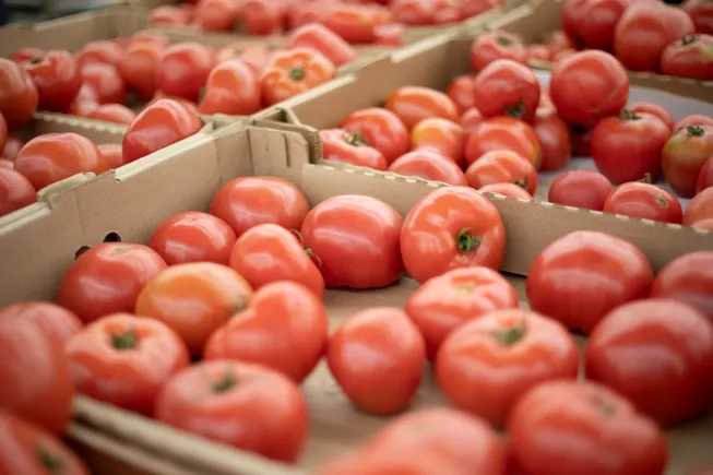 How grocers are taking charge of food traceability requirements