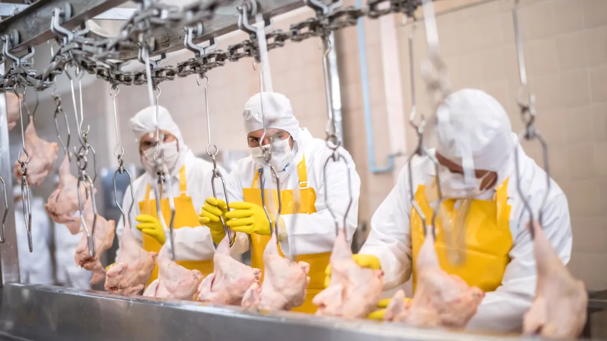 People working at a chicken factory.