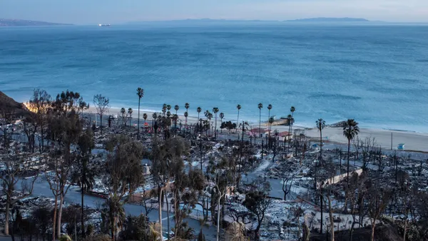 Burnt palm trees and destroyed homes stand stark against the ocean.