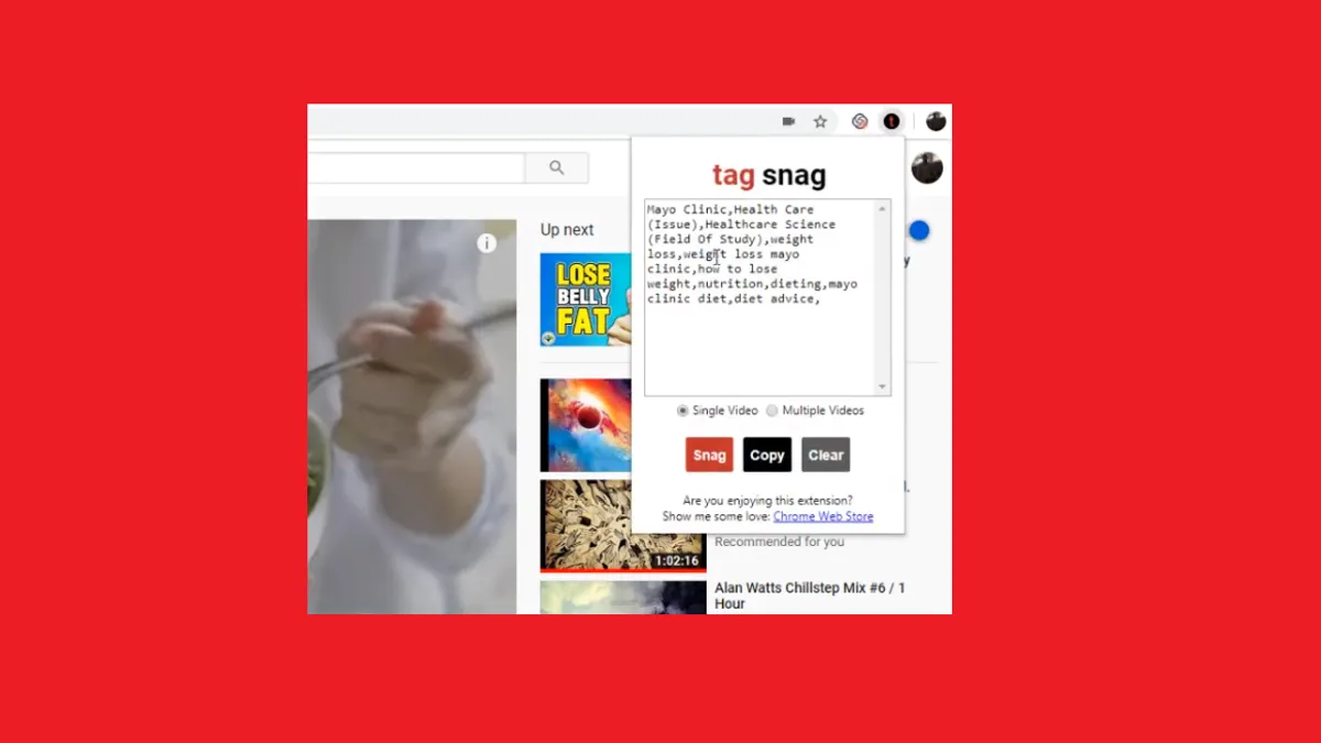 Tag Snag for YouTube