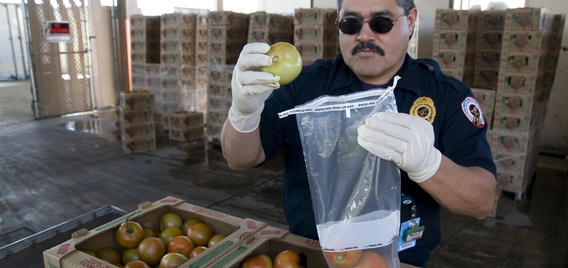 food safety inspection