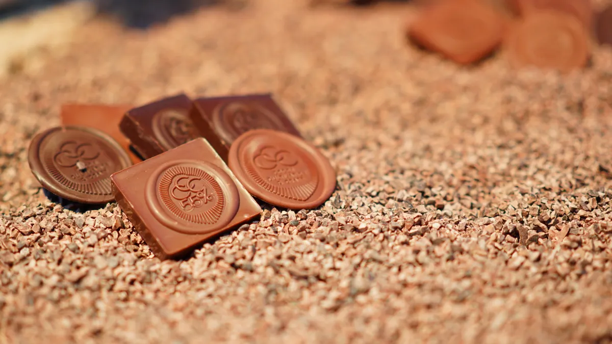 Small pieces of chocolate sit on a surface covered with crushed cocoa beans