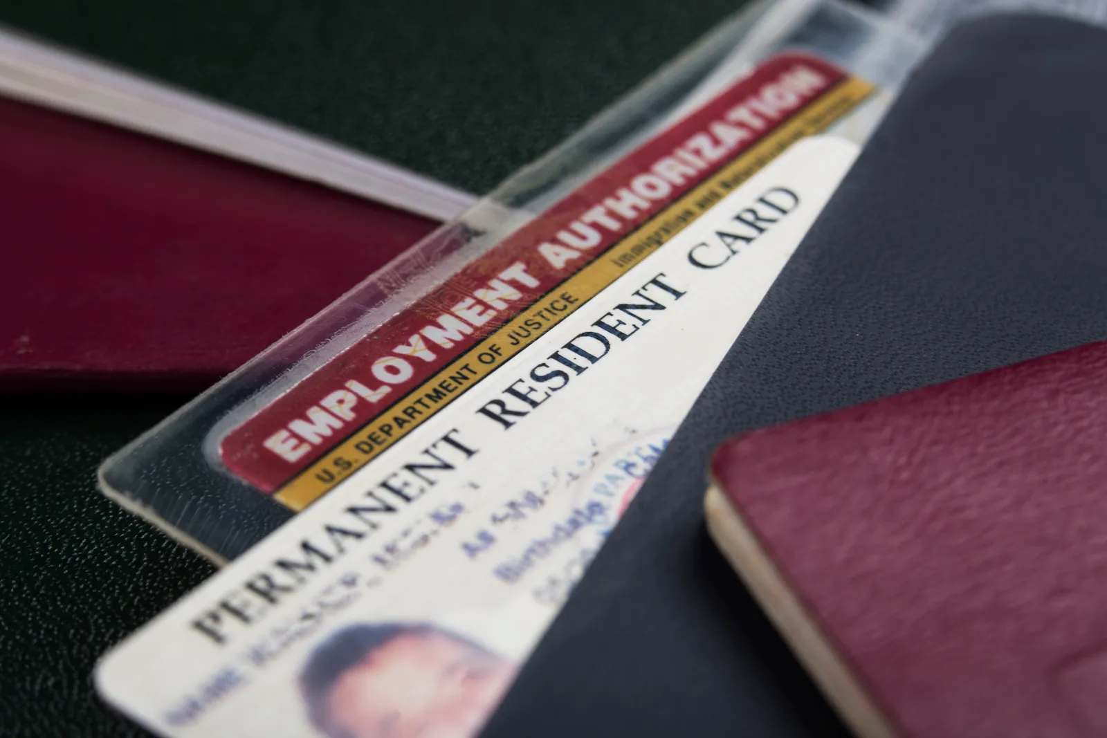 A U.S. permanent resident card and employment authorization card are displayed.