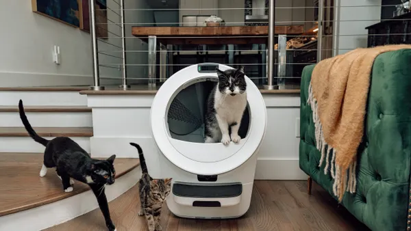 One cat is inside  a Litter-Robot while two are near it.