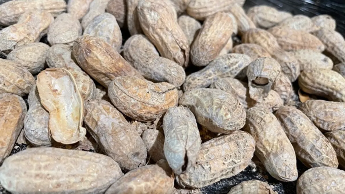 peanuts