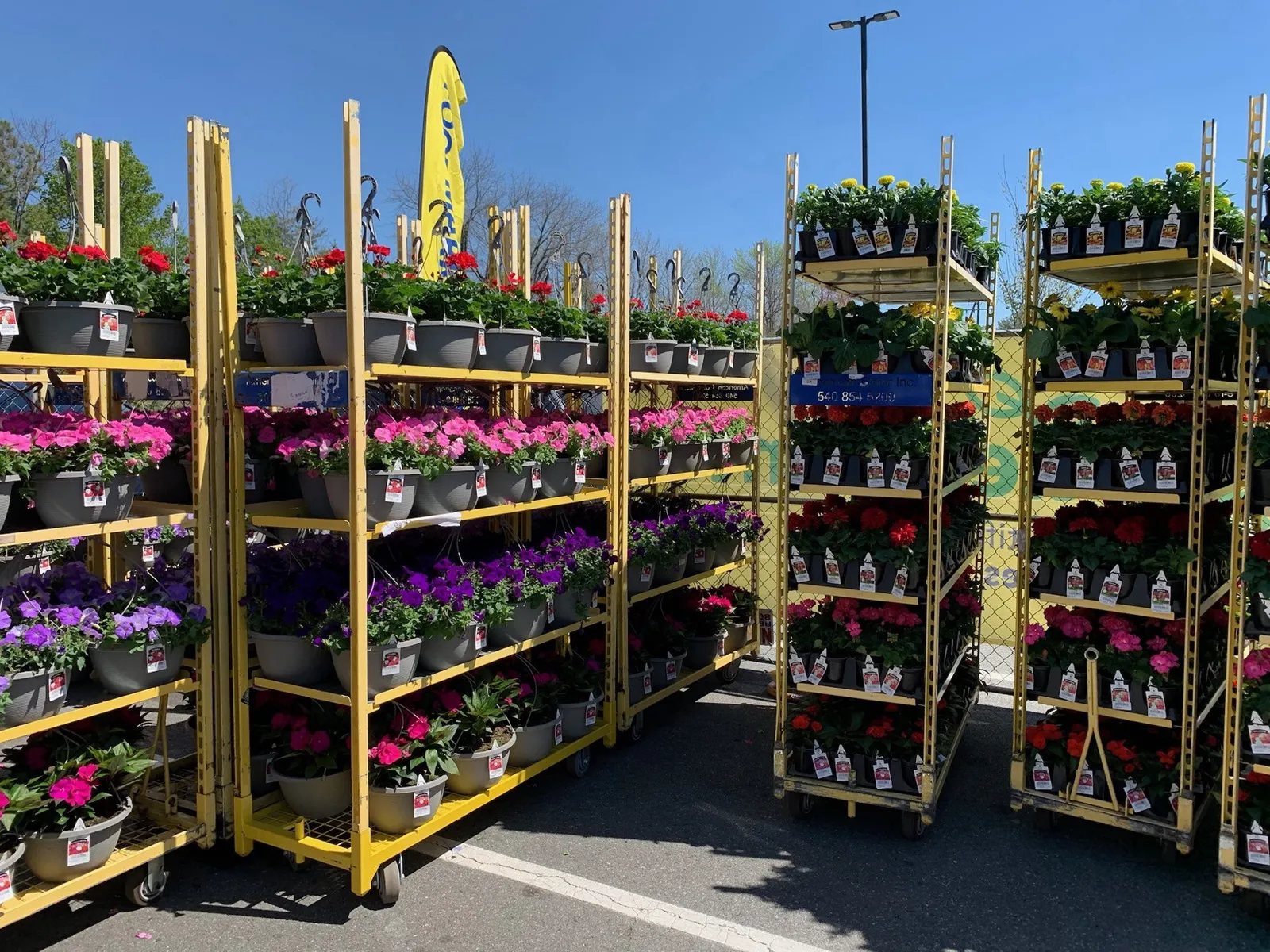 Flowers in a garden center.