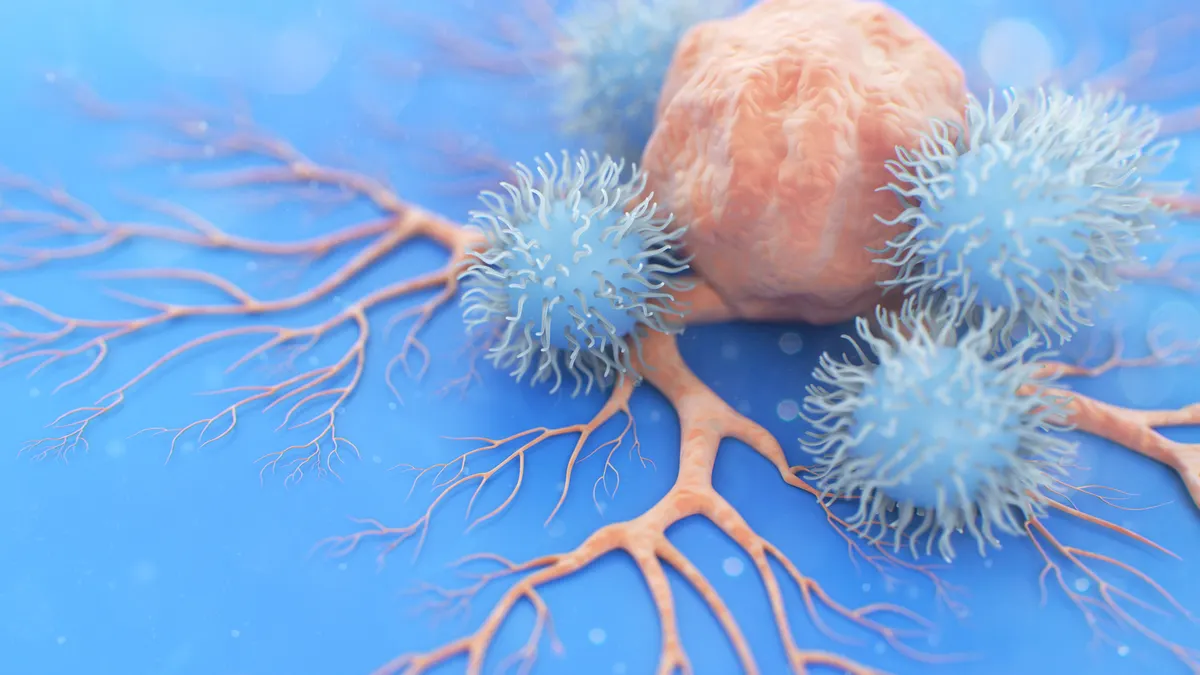 NK Cell (Natural Killer Cell) Attacking a Cancer Cell