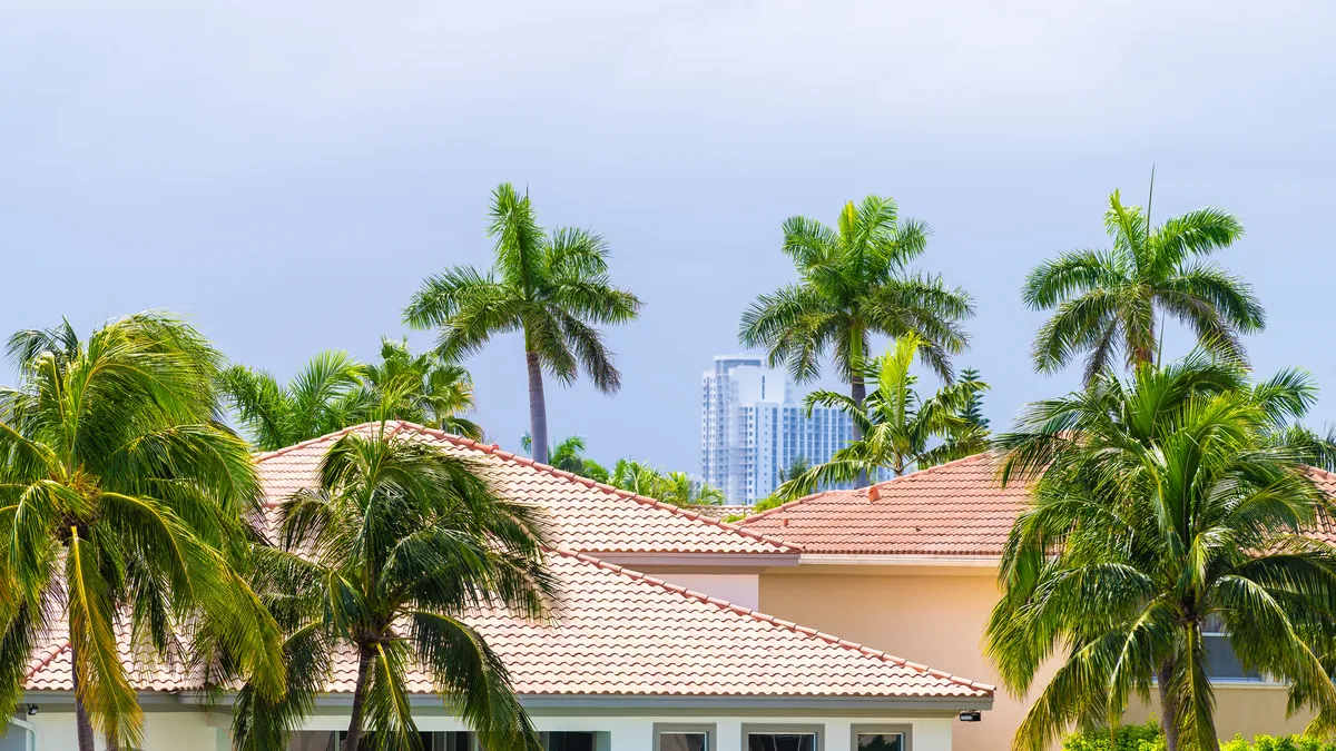 Palm trees next to buildings in Miami, Florida