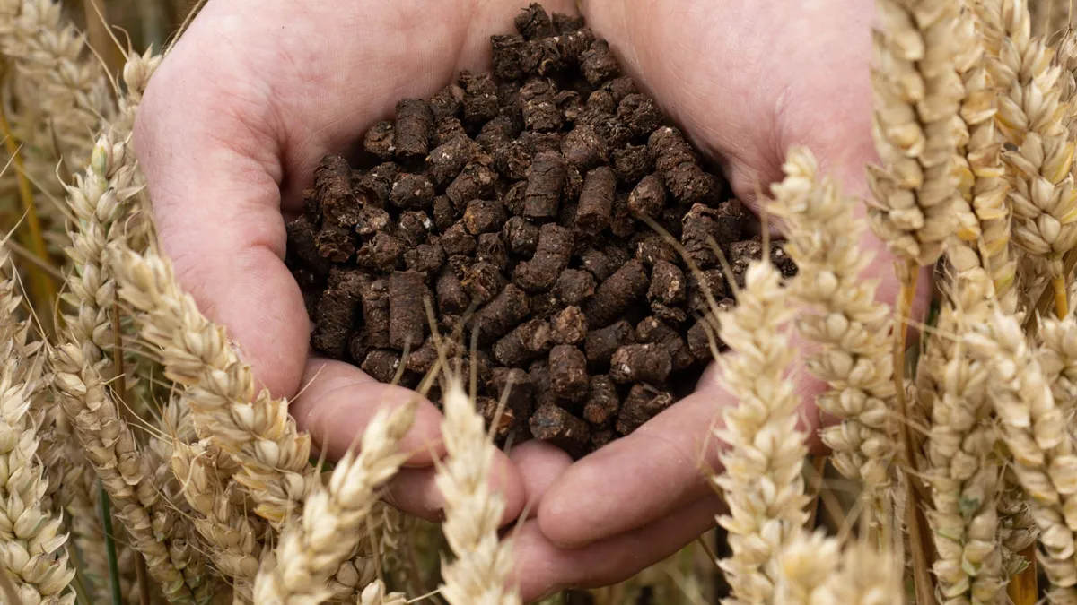 Fertilizer pellets made from discarded cocoa shells have the potential to lower carbon emissions and reduce supply chain waste.