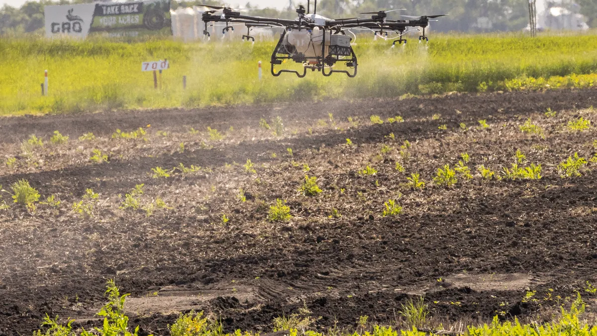 A drone is seen spraying pesticides on a farm field