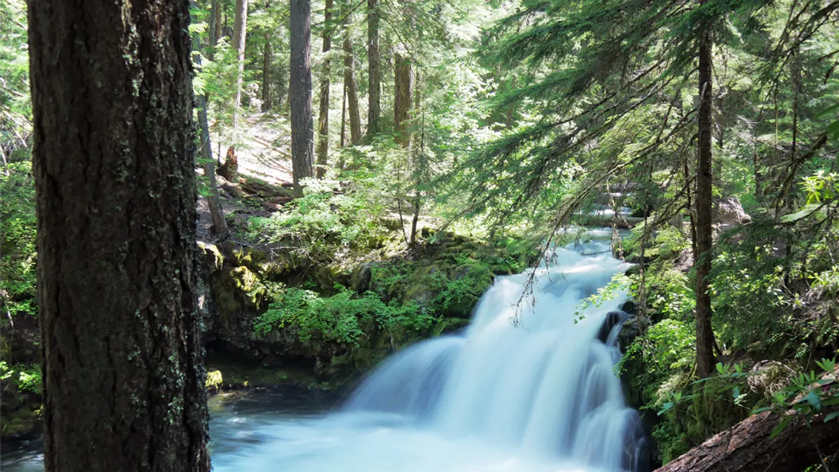Waterfall in the forest