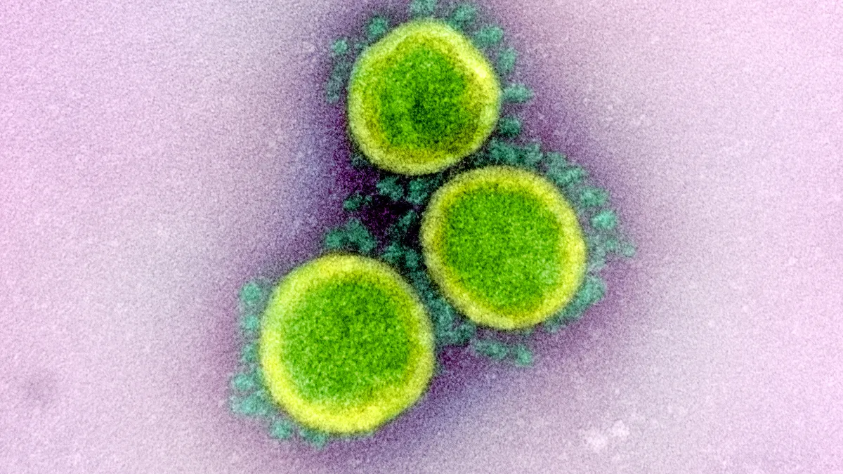 Transmission electron micrograph of SARS-CoV-2 virus particles, isolated from a patient.