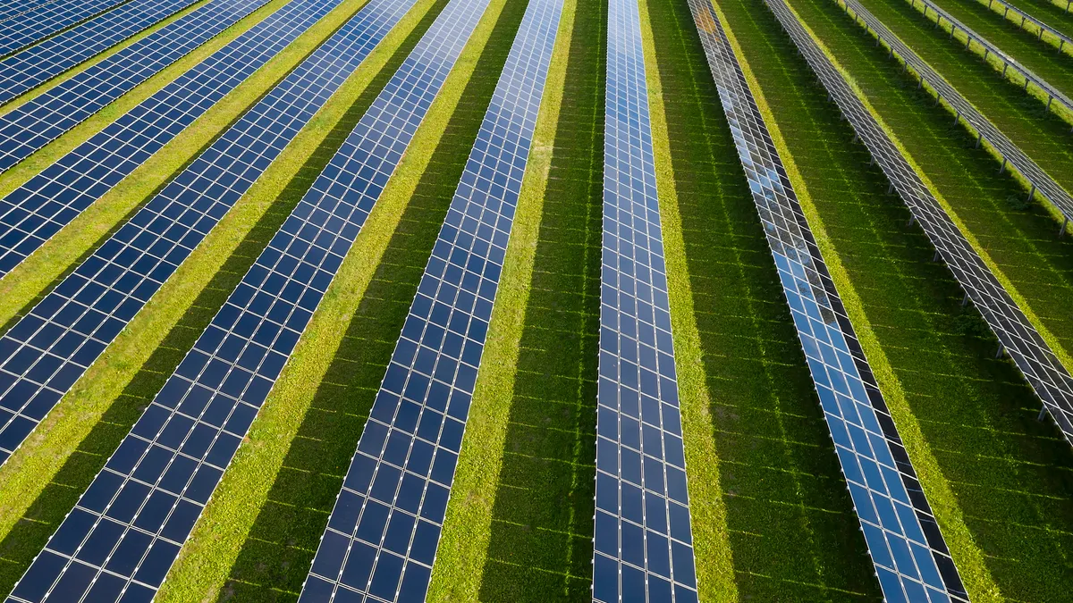 Rows of solar panels are seen against a green field.