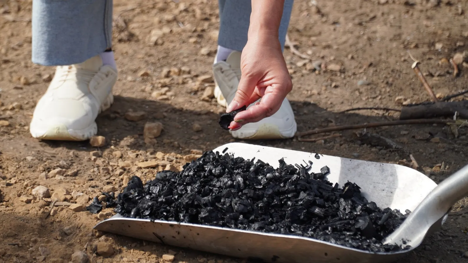 A shovel resting on a dirt field holds charcoal-like material. A hand reaches down to handle a piece of the material.