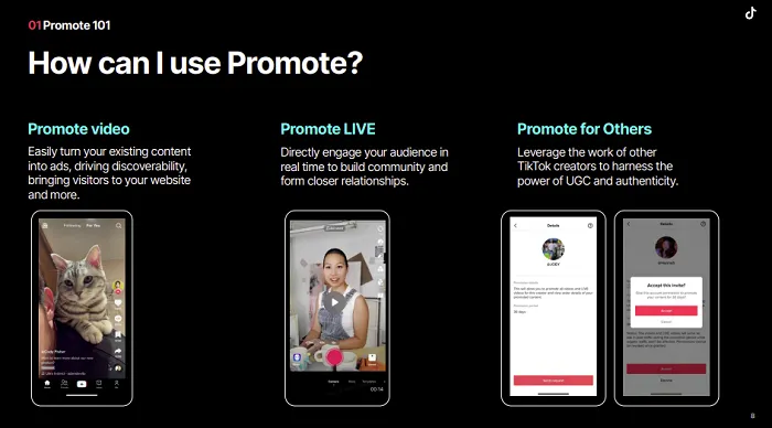 TikTok Promote Playbook