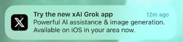 Grok standalone app