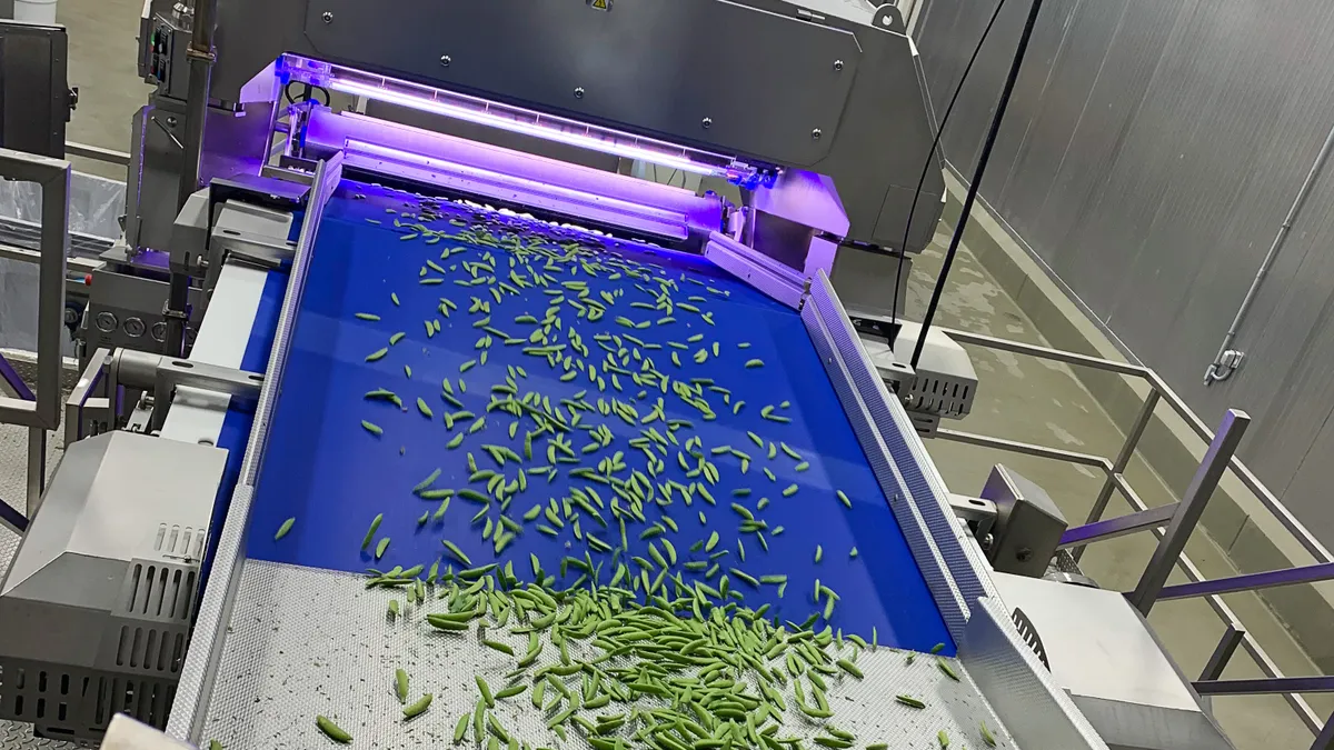 An optical sorter being used to sort through snap peas.